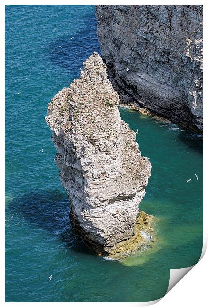  Stack at Flamborough Head Print by Andy McGarry