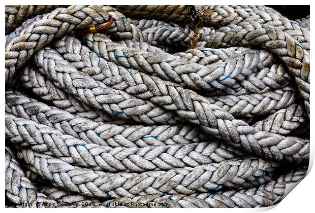 Coiled Rope Print by Andy McGarry