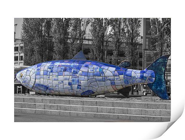blue fish in belfast Print by william sharpe