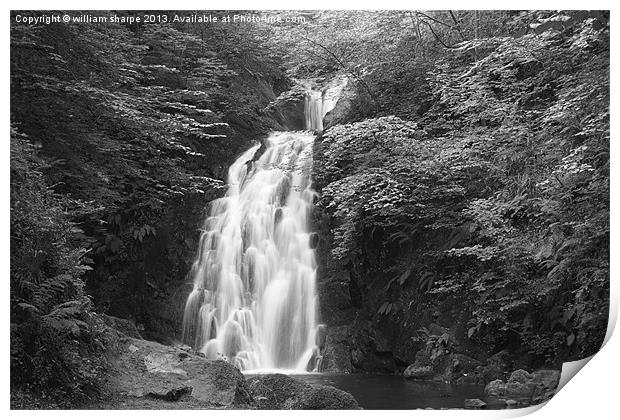gleno waterfall in black and white Print by william sharpe