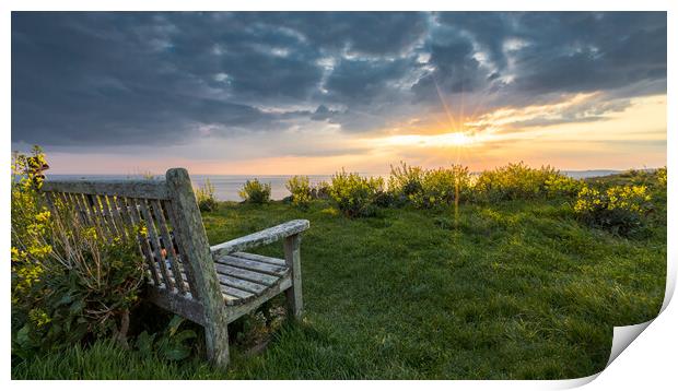 Golden Hour at St Aldhelms Head Print by Daniel Rose