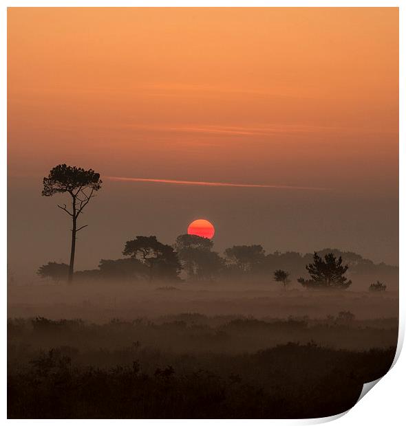 Mystical Sunrise in Dorset Print by Daniel Rose