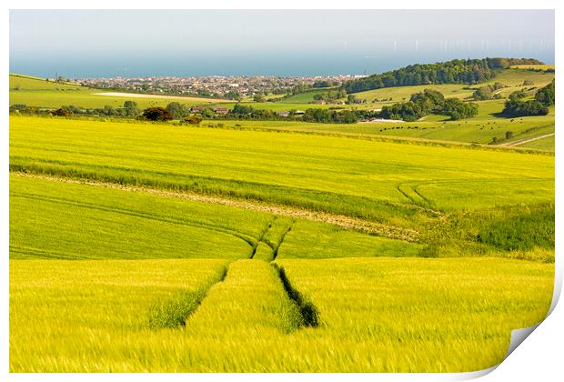 South Downs Lines Print by Malcolm McHugh