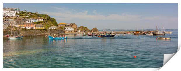 Mevagissey Outer Harbour Print by Malcolm McHugh