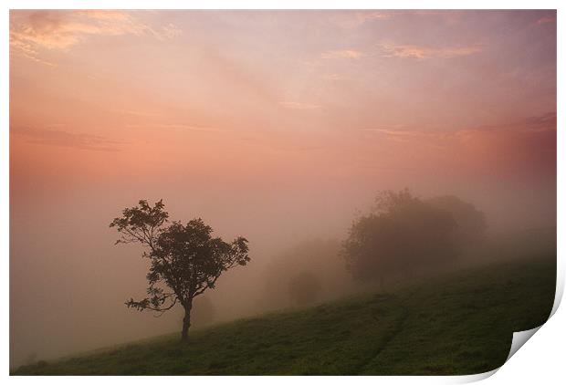 Mist on the South Downs Print by Malcolm McHugh