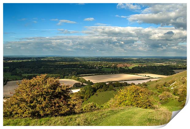 Downs to the Weald Print by Malcolm McHugh