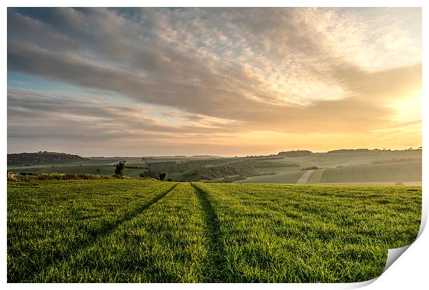 Lines in the Landscape Print by Malcolm McHugh