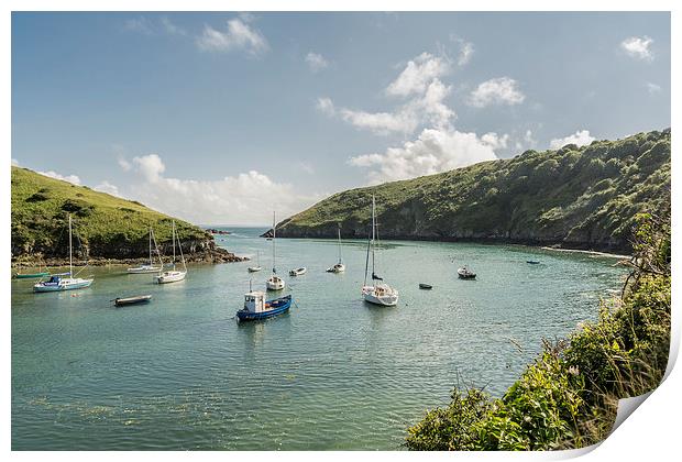 Solva to St Bride's Print by Malcolm McHugh