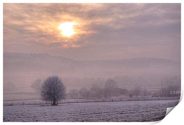 South Downs Hoar Frost Print by Malcolm McHugh