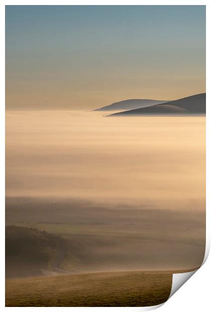 Park Mist Print by Malcolm McHugh