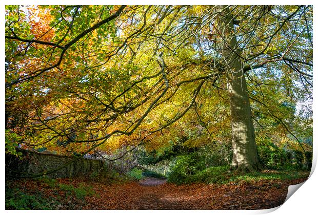 South Downs Autumn Hues Print by Malcolm McHugh