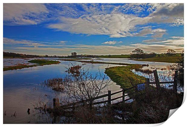  Winter floods Print by Stephen Prosser