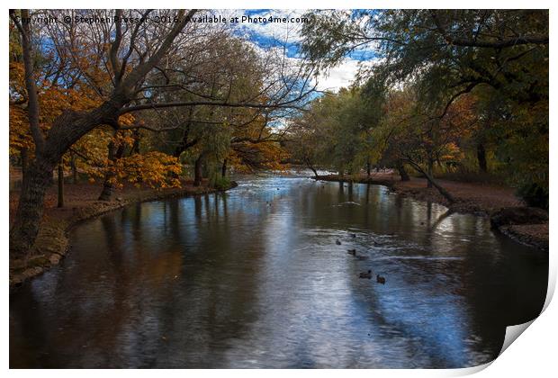 Autumn in the park Print by Stephen Prosser