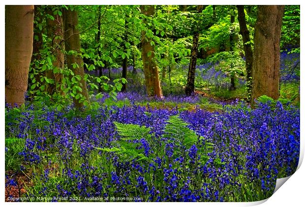 Deep in the Bluebell Wood Print by Martyn Arnold