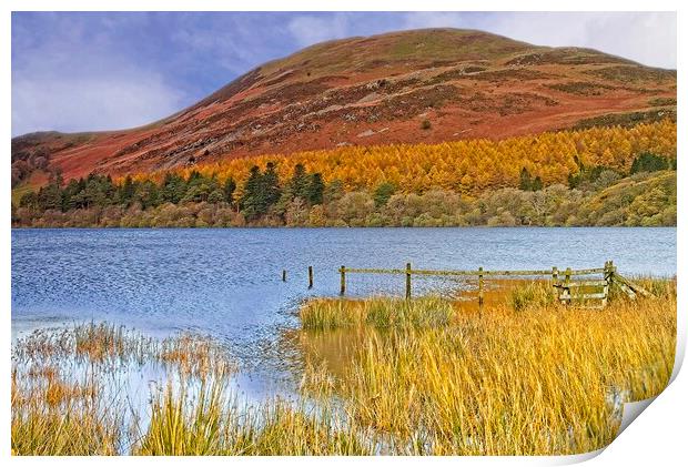 Autumn at Loweswater and Darling Fell, Lake distri Print by Martyn Arnold