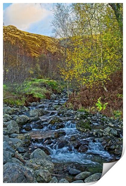 Autumn Colours and Helvellyn Gill Print by Martyn Arnold