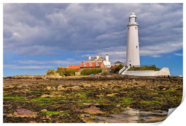 Low Tide at St. Mary's Island, Whitley Bay Print by Martyn Arnold