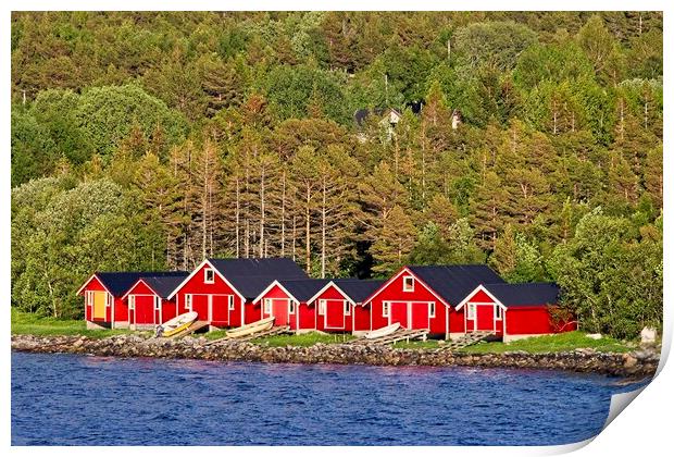 Red Boathouses in Norway Print by Martyn Arnold
