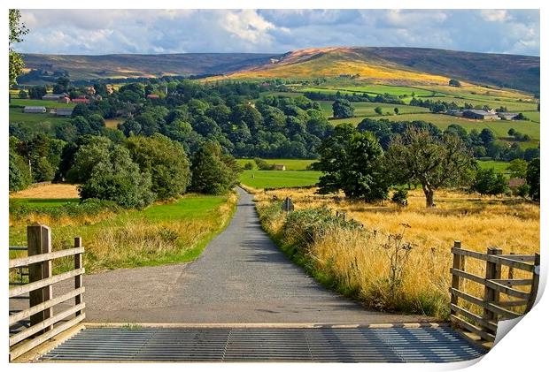 Westerdale-Road to North York Moors National Park Print by Martyn Arnold