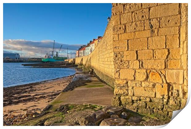 Hartlepool Town Wall Print by Martyn Arnold