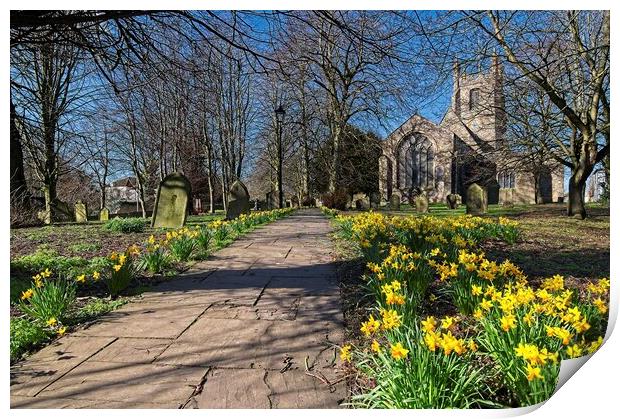 Churchyard Spring Daffodils Print by Martyn Arnold