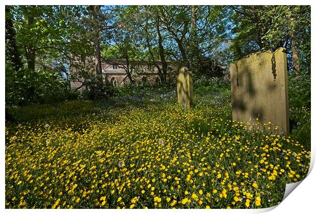 Churchyard Wildflowers and Buttercups Print by Martyn Arnold