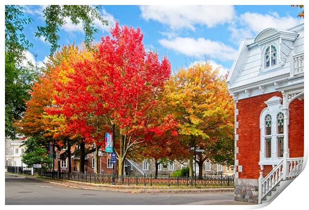 Canada in the Fall Print by Martyn Arnold