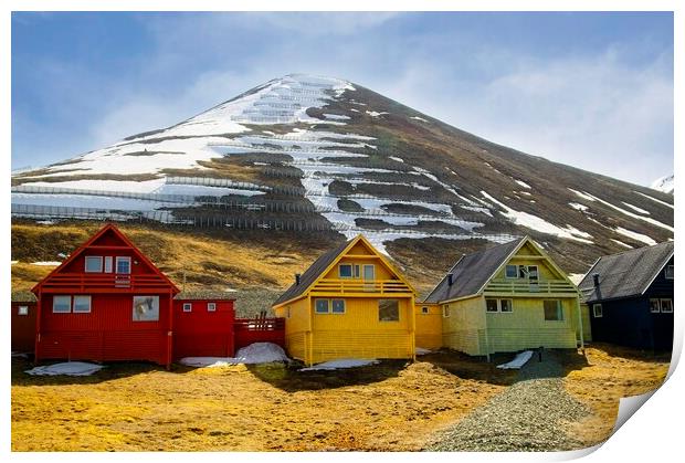 Summer in Arctic Svalbard Print by Martyn Arnold