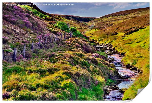 Moorland Stream in the Yorkshire Dales Print by Martyn Arnold