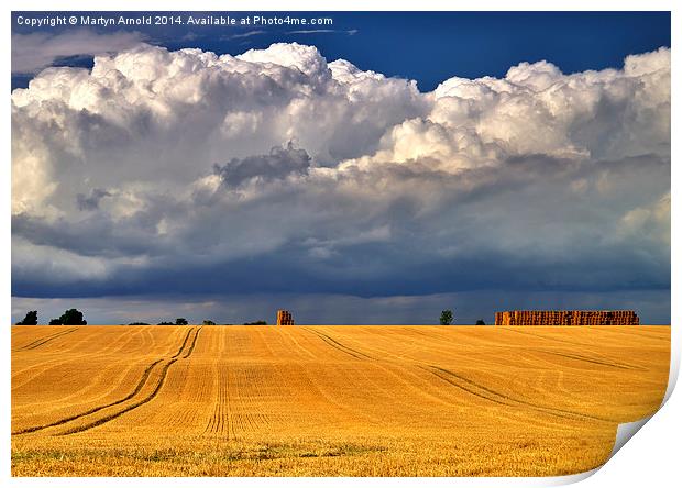 Majestic Harvest Skies Print by Martyn Arnold