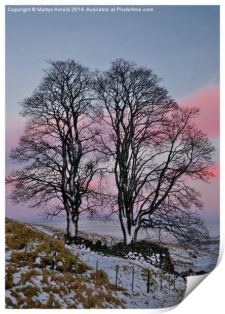 Winter Wonderland Amidst the Snowy Pennines Print by Martyn Arnold