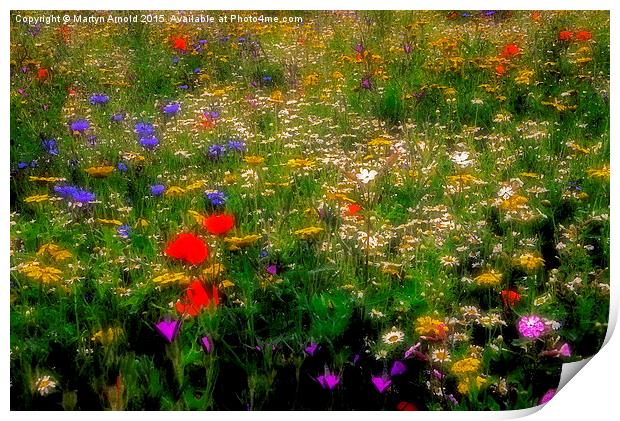  Dreamy Wildflowers Print by Martyn Arnold