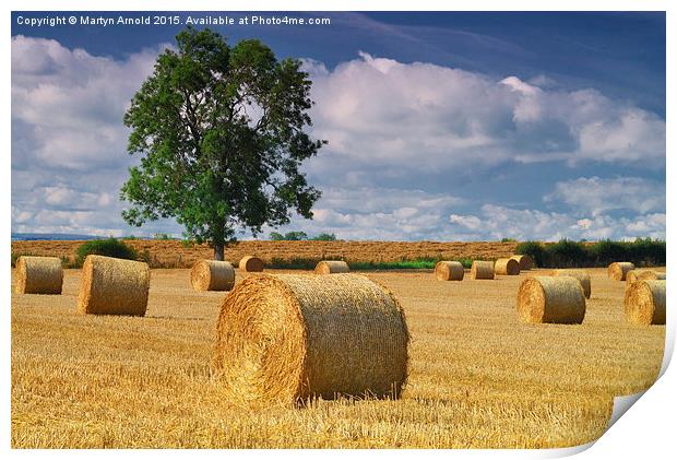 Haybales at Harvest Time Print by Martyn Arnold