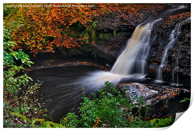  Hamsterley Forest waterfall in Autumn Print by Martyn Arnold