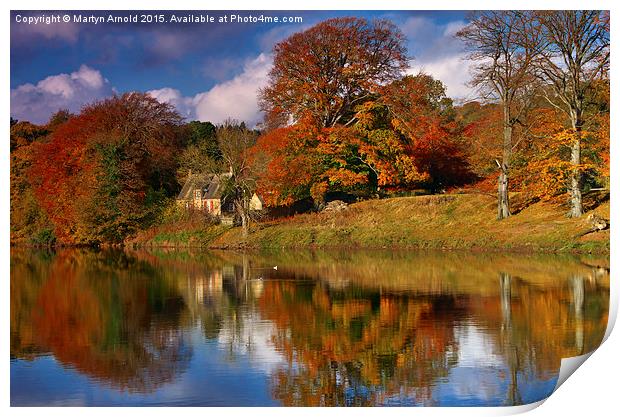  Autumn on the River Tyne at Hexham Print by Martyn Arnold