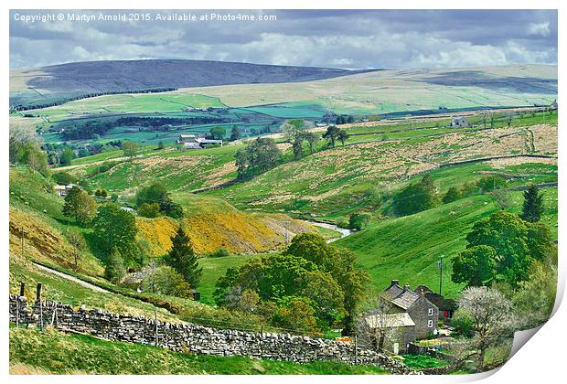 Durham Dales Countryside - Weardale Print by Martyn Arnold
