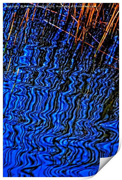 Reflections of Reeds Print by Martyn Arnold