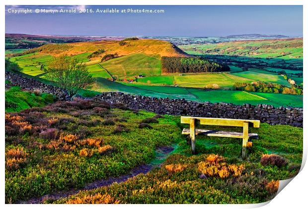 Danby Dale North York Moors Print by Martyn Arnold