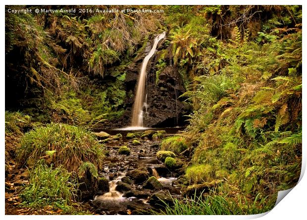 Hindhope Linn Waterfall, Kielder Forest Print by Martyn Arnold