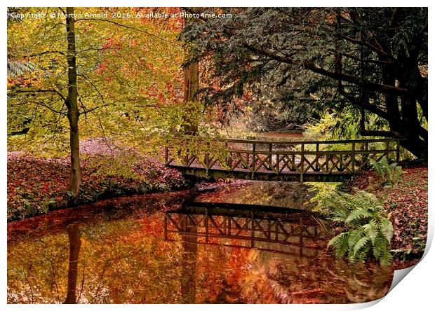 Autumn Reflections in the Stream Print by Martyn Arnold