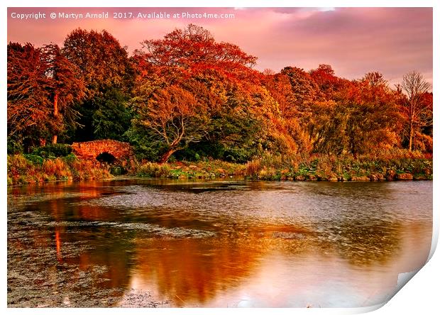 Autumn Sunset at Hardwick Park Print by Martyn Arnold
