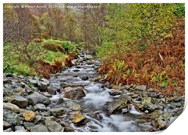 Lake District Autumn Stream Print by Martyn Arnold