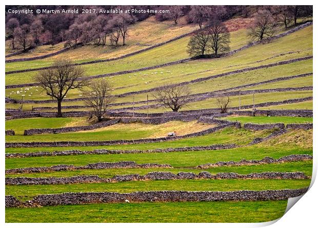 Yorkshire Dales Stone Walls Print by Martyn Arnold
