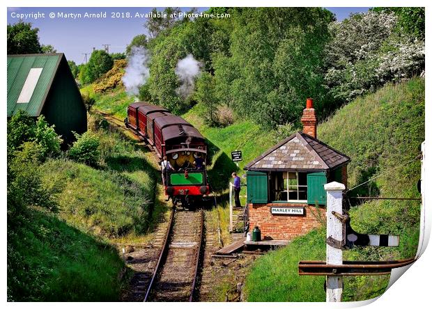 Tanflield Steam Railway Print by Martyn Arnold