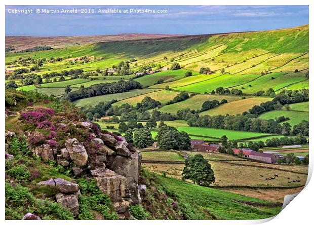 Danby Dale, North York Moors Print by Martyn Arnold