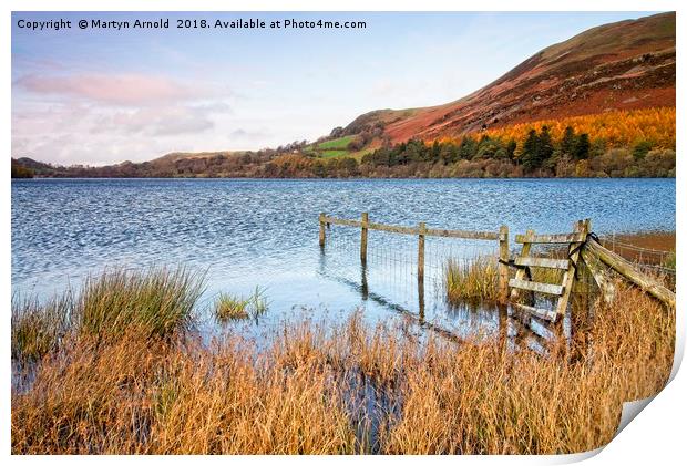 Loweswater in Autumn Print by Martyn Arnold