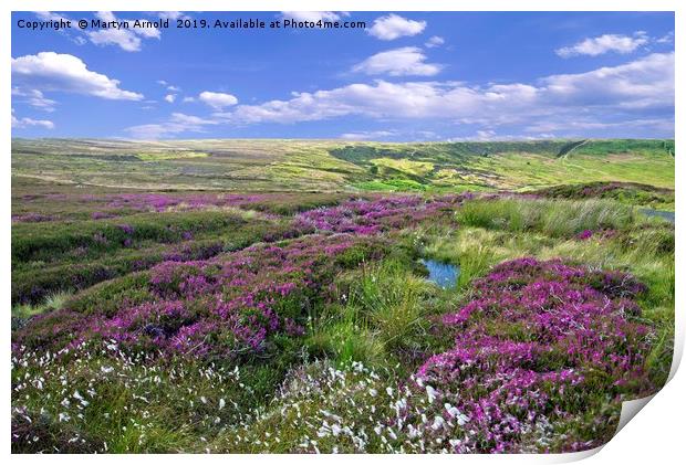 Yorkshire Moors Heather and Cottongrass landscape Print by Martyn Arnold