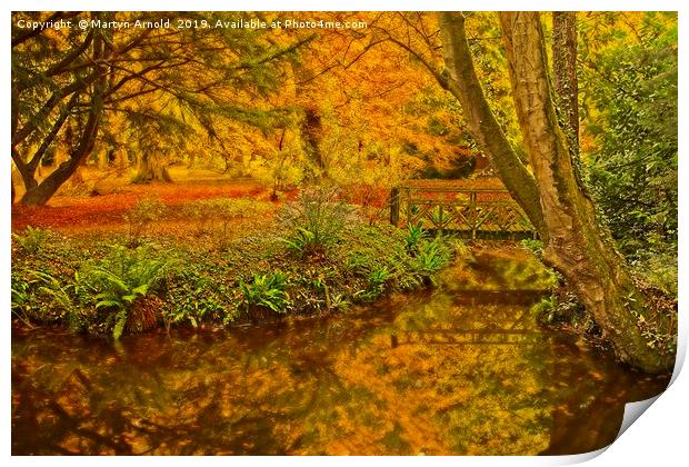 Autumn Wood at Thorp Perrow Arboretum Print by Martyn Arnold