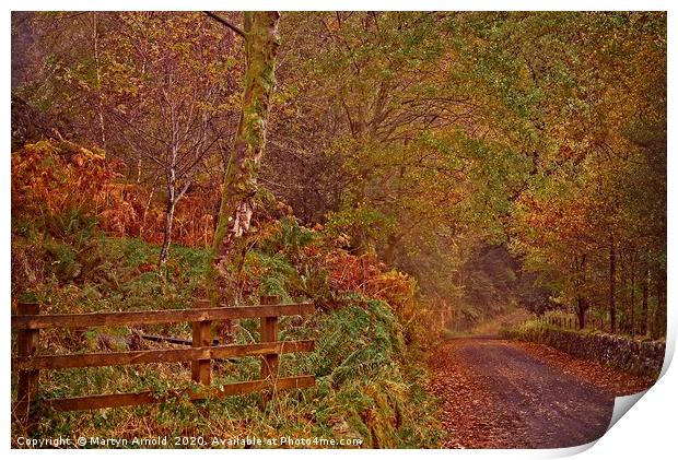Autumn Country Lane Print by Martyn Arnold