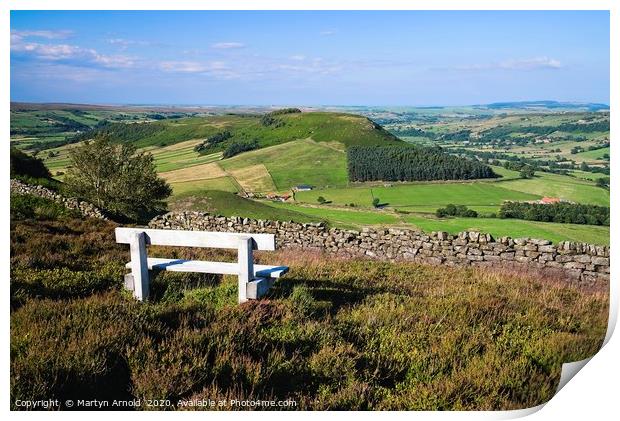 Rest a While on the Yorkshire Moors Print by Martyn Arnold